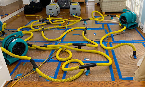 Professional Flood Damage Restoration technician working in Elberta, AL